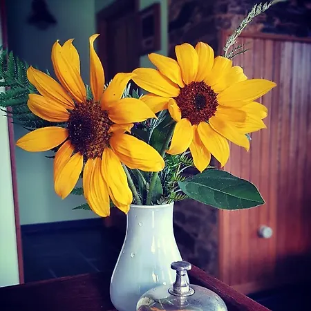 Norita - Adults Only Lourenza