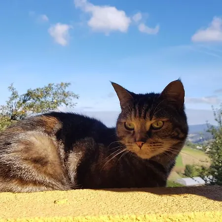 Norita - Adults Only * Lourenza